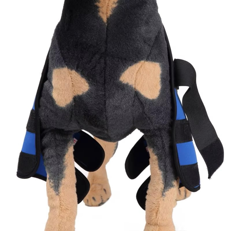 Dog Knee Brace and Leg Protector for Injury Recovery