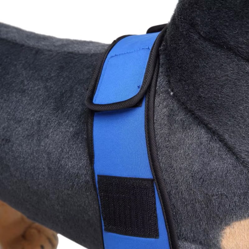 Dog Knee Brace and Leg Protector for Injury Recovery