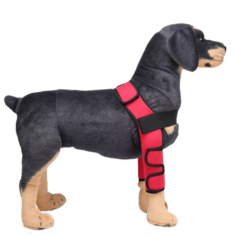 Dog Knee Brace and Leg Protector for Injury Recovery
