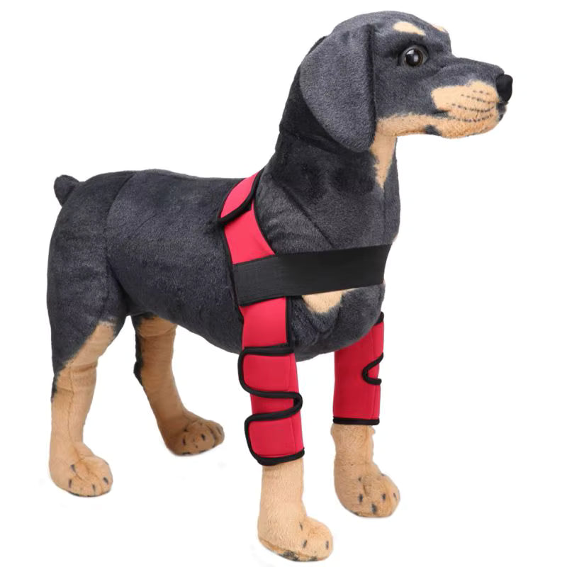 Dog Knee Brace and Leg Protector for Injury Recovery