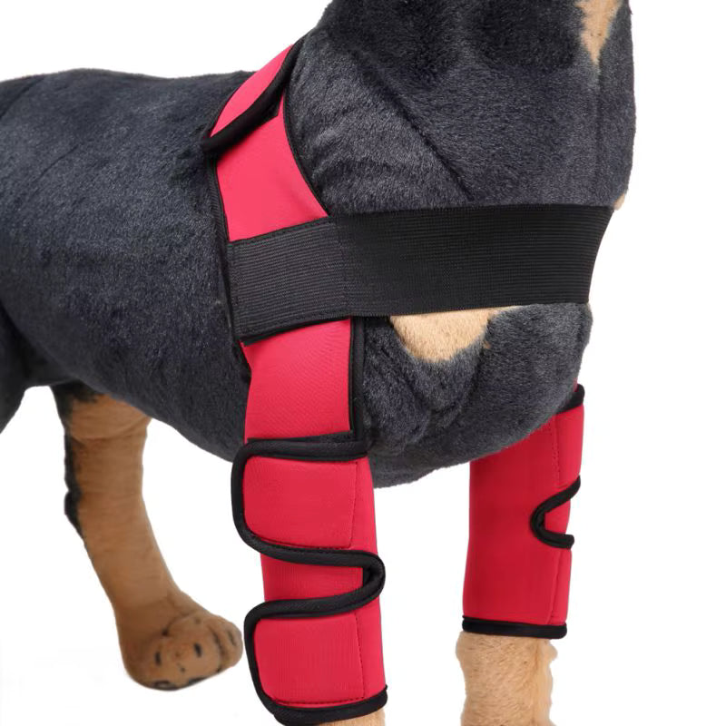 Dog Knee Brace and Leg Protector for Injury Recovery