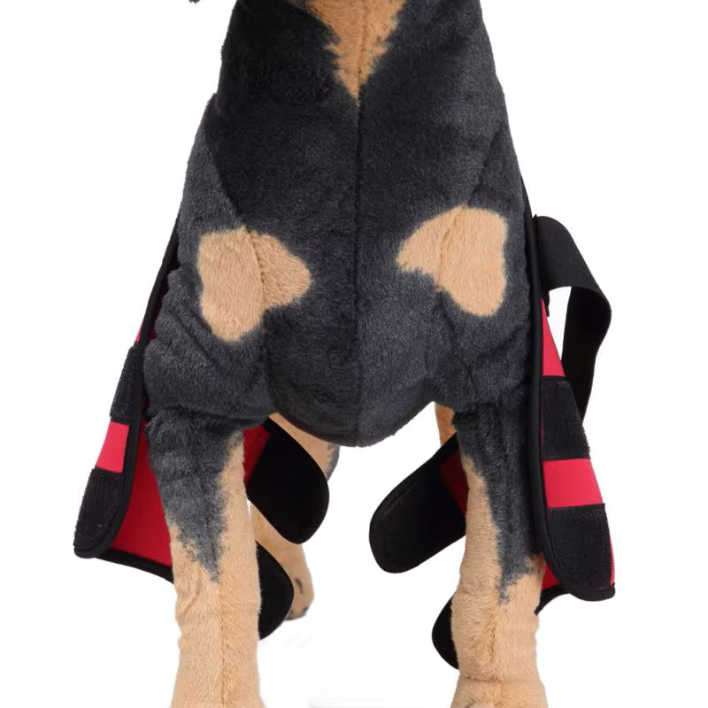 Dog Knee Brace and Leg Protector for Injury Recovery