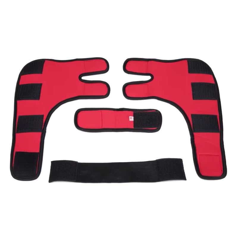Dog Knee Brace and Leg Protector for Injury Recovery